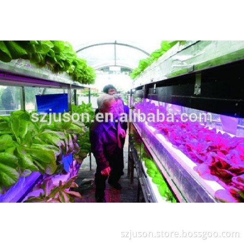 2015 sunlight full spectrum led grow light professional greenhouse planting grow induction grow light CE/RoHS certified